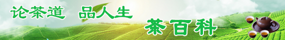 茶百科网