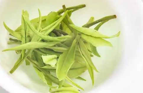 绿茶种类