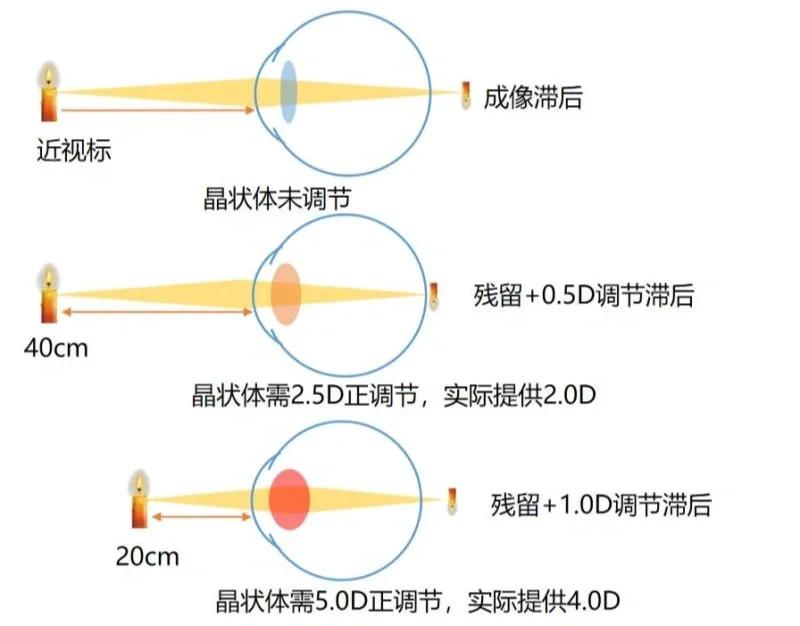 1753855343111222.jpeg 698550e40e1ff90023fd9a42c6fab81c.jpeg